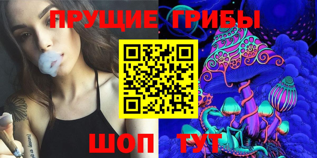 Лениногорск  Галлюциногенные грибы Psilocybe  Псилоцибиновые грибы Cubensis  Вход с VPN 